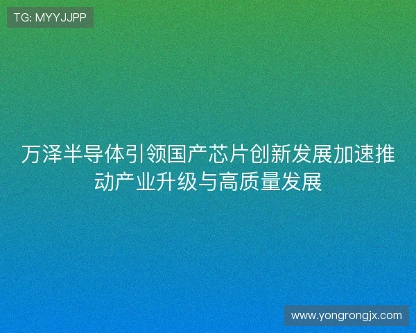 万泽半导体引领国产芯片创新发展加速推动产业升级与高质量发展