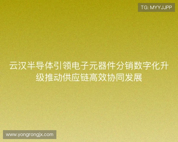 云汉半导体引领电子元器件分销数字化升级推动供应链高效协同发展